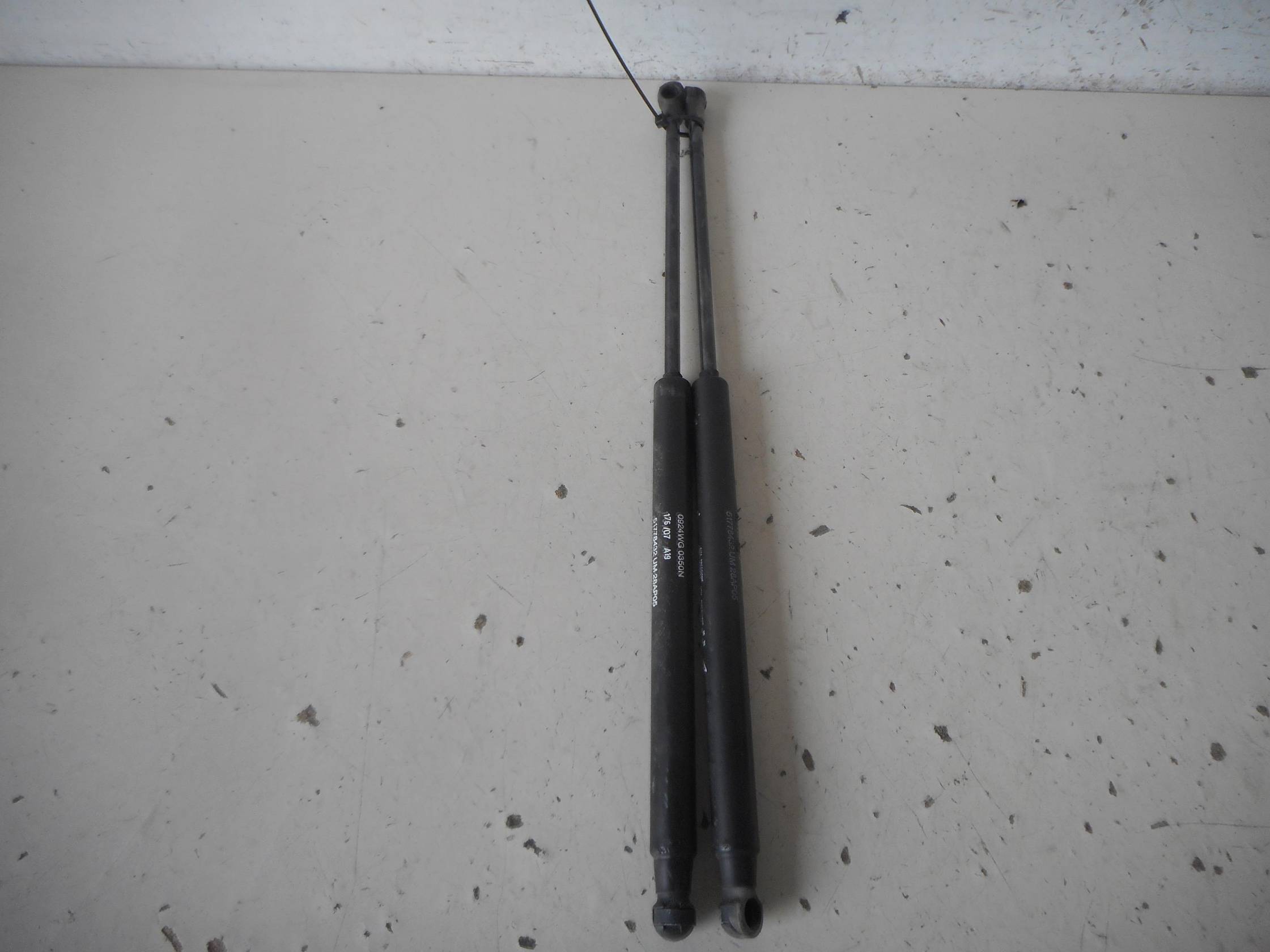 Asta ammortizzante portello post. sx.